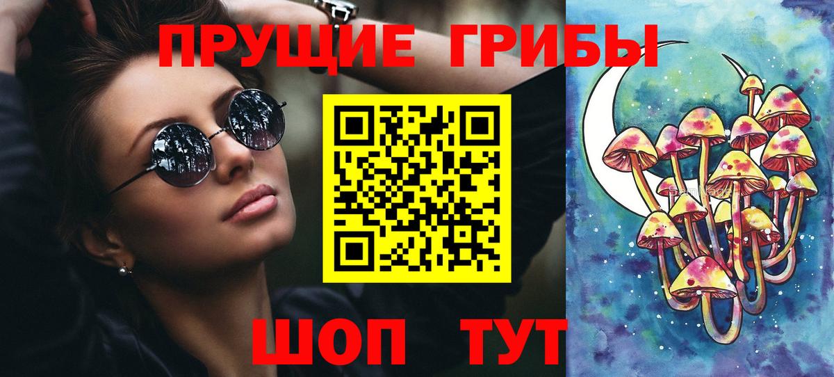 Псилоцибиновые грибы прущие грибы  Псилоцибиновые грибы Cubensis  купить  цена  Ногинск  Вход с VPN 