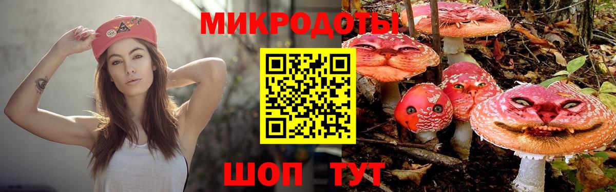 Галлюциногенные грибы Psilocybine cubensis Ногинск